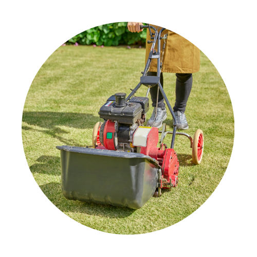 Lawn and Garden Supplies